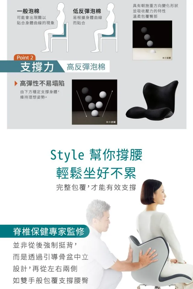 Style PREMIUM DX 健康護脊椅墊-頂級款