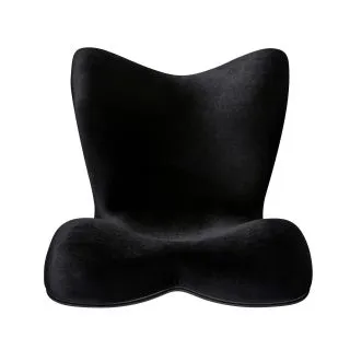 Style PREMIUM DX 奢華頂級調整椅_日本知名護脊椅品牌