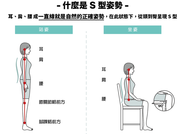 什麼是S型姿勢